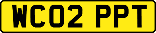 WC02PPT