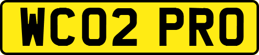 WC02PRO