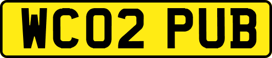 WC02PUB