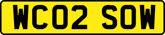 WC02SOW