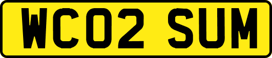 WC02SUM