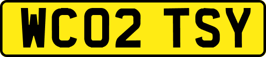 WC02TSY