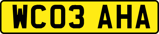 WC03AHA