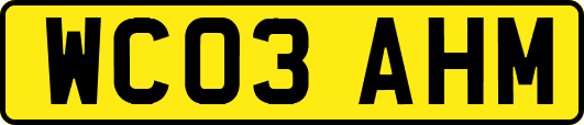 WC03AHM
