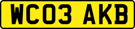 WC03AKB