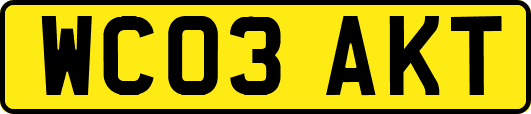 WC03AKT