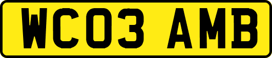 WC03AMB