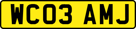 WC03AMJ