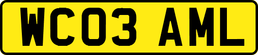 WC03AML