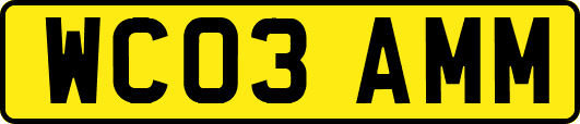 WC03AMM