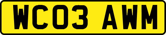 WC03AWM