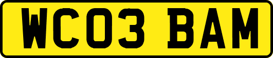 WC03BAM