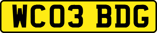 WC03BDG