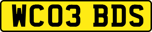 WC03BDS