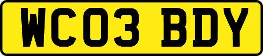 WC03BDY