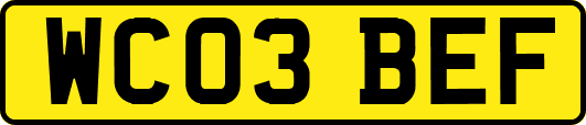 WC03BEF