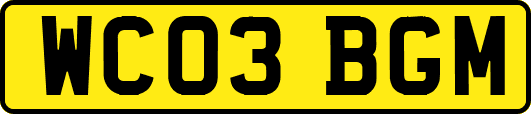 WC03BGM