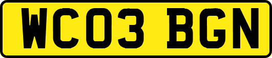 WC03BGN