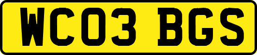 WC03BGS