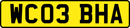 WC03BHA