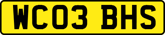 WC03BHS