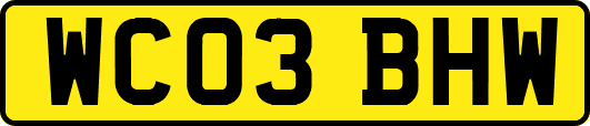 WC03BHW