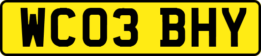 WC03BHY