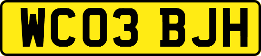 WC03BJH