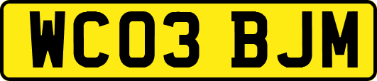 WC03BJM