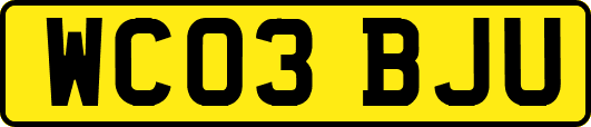 WC03BJU