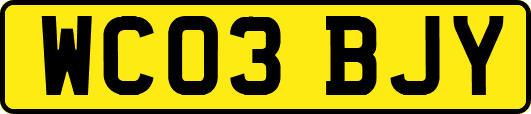 WC03BJY