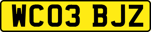 WC03BJZ