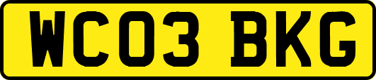 WC03BKG