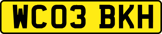 WC03BKH