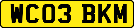 WC03BKM