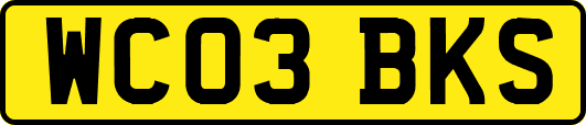 WC03BKS