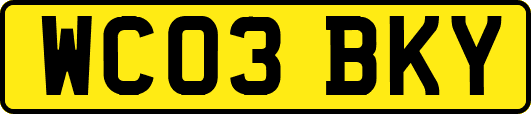 WC03BKY