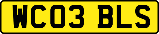 WC03BLS