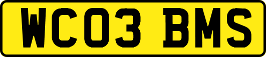 WC03BMS