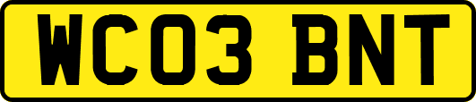 WC03BNT