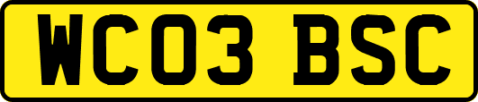 WC03BSC