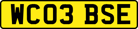 WC03BSE