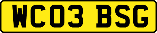 WC03BSG
