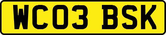 WC03BSK