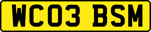 WC03BSM