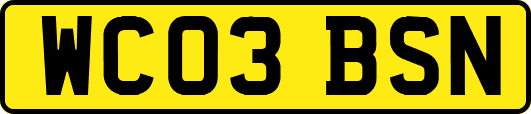 WC03BSN