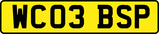 WC03BSP
