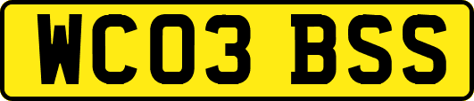 WC03BSS