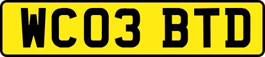 WC03BTD