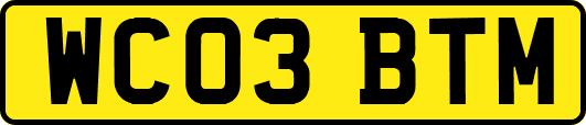 WC03BTM